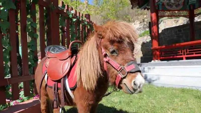 乘联会发布2023年车企零售销量排名