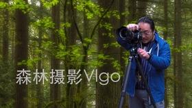 《幻兽帕鲁》宠物图鉴相关介绍