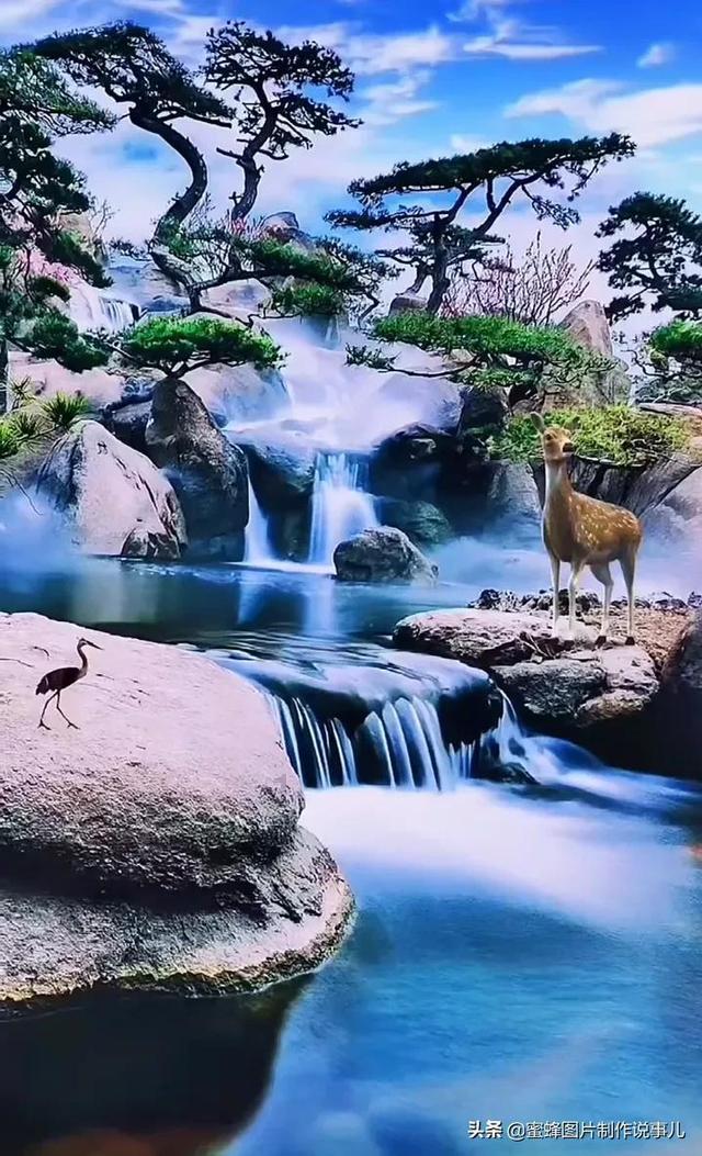 贪玩蓝月